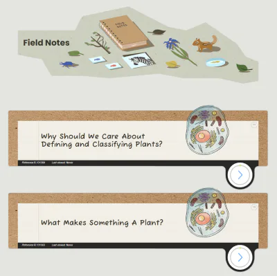 Illustrated course content